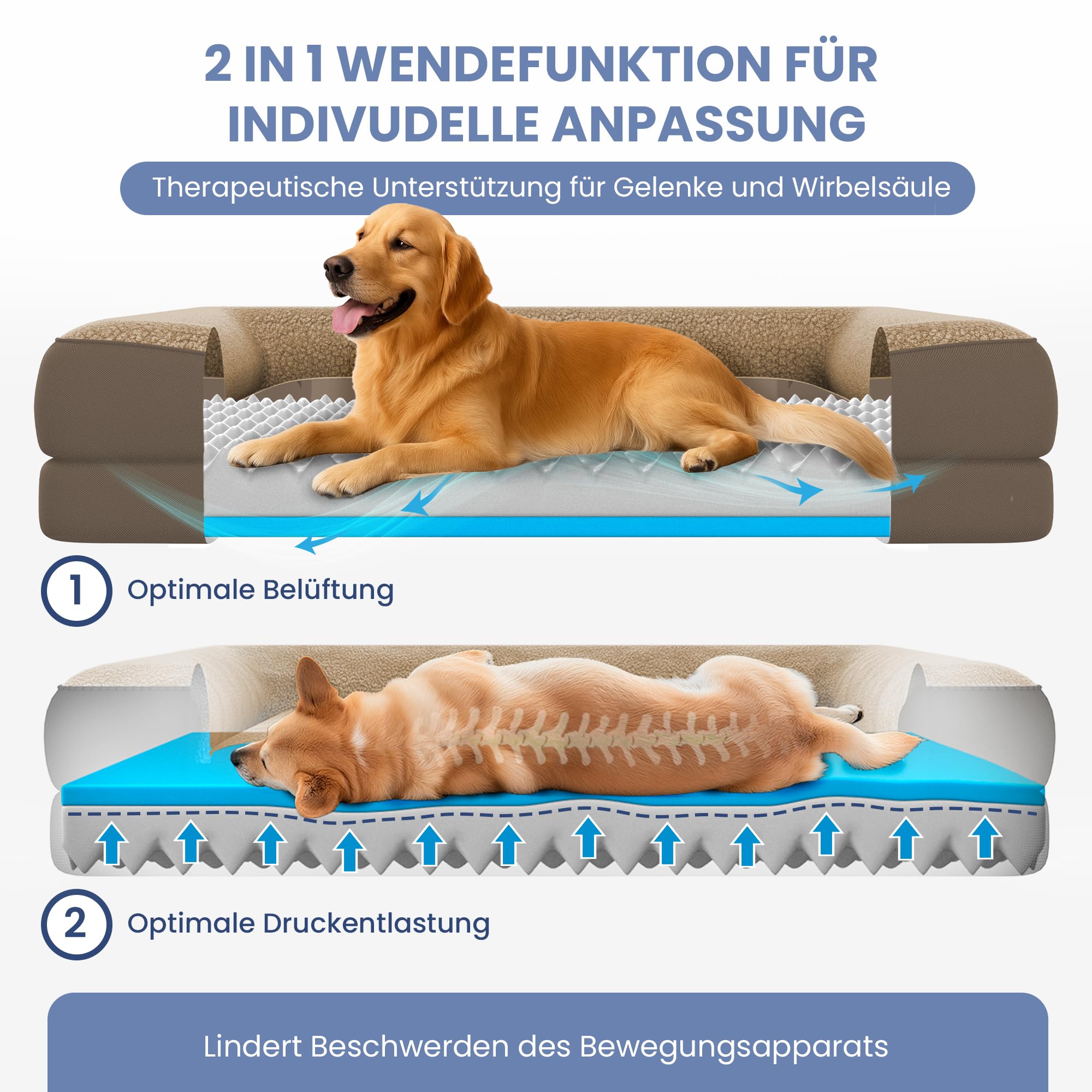 ELONEO orthopädisches Hundebett kleine Hunde - 76x51x17cm, Hundekorb mit Memory Foam, Hundematte wasserdicht und waschbar, Hundekissen, Hundematratze mit weicher Polsterung, braun