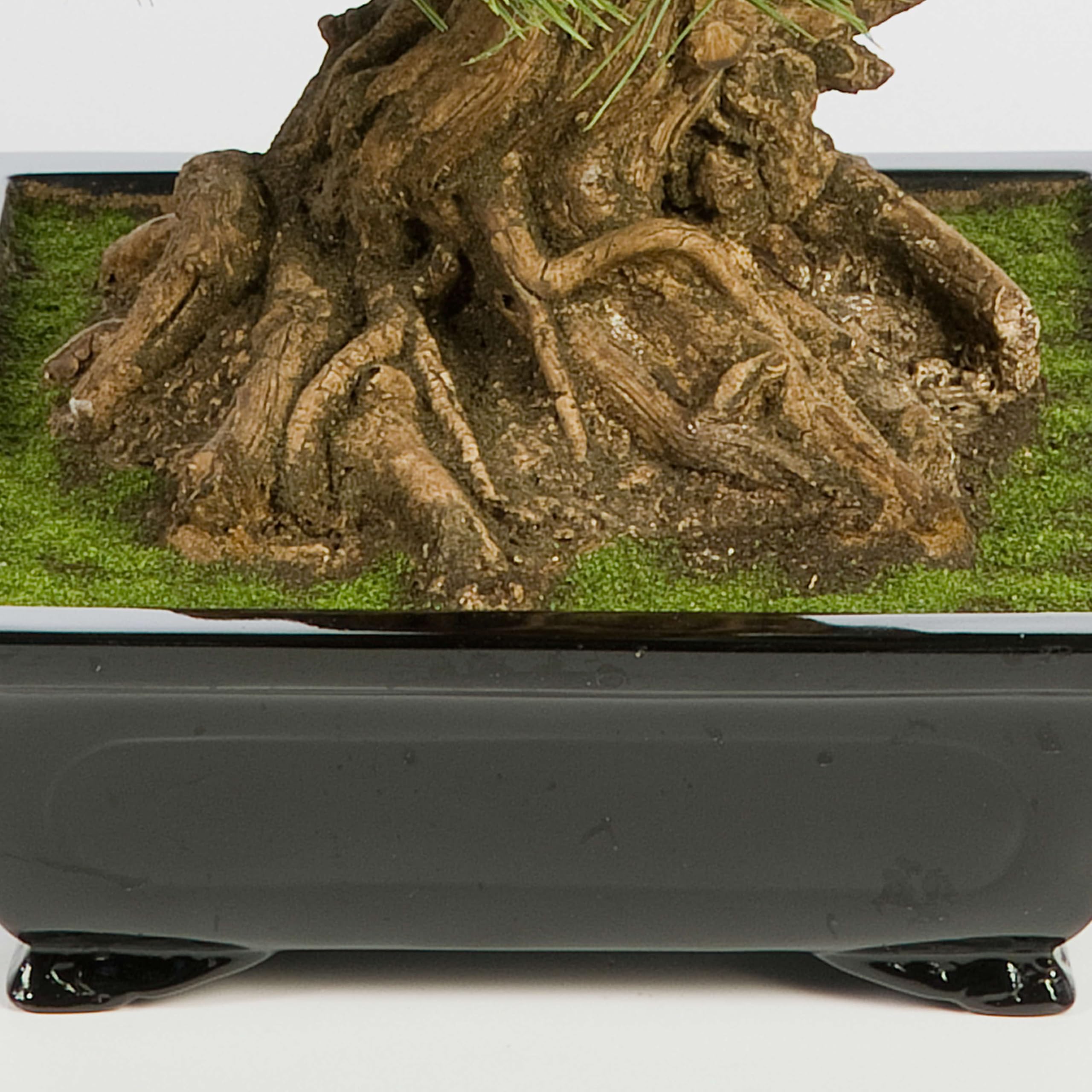 Amazon.de: artplants.de Knstlicher Bonsai Pinie in Bonsaischale, 125  Nadelzweige, 70cm - Kunstbonsai - Dekobaum