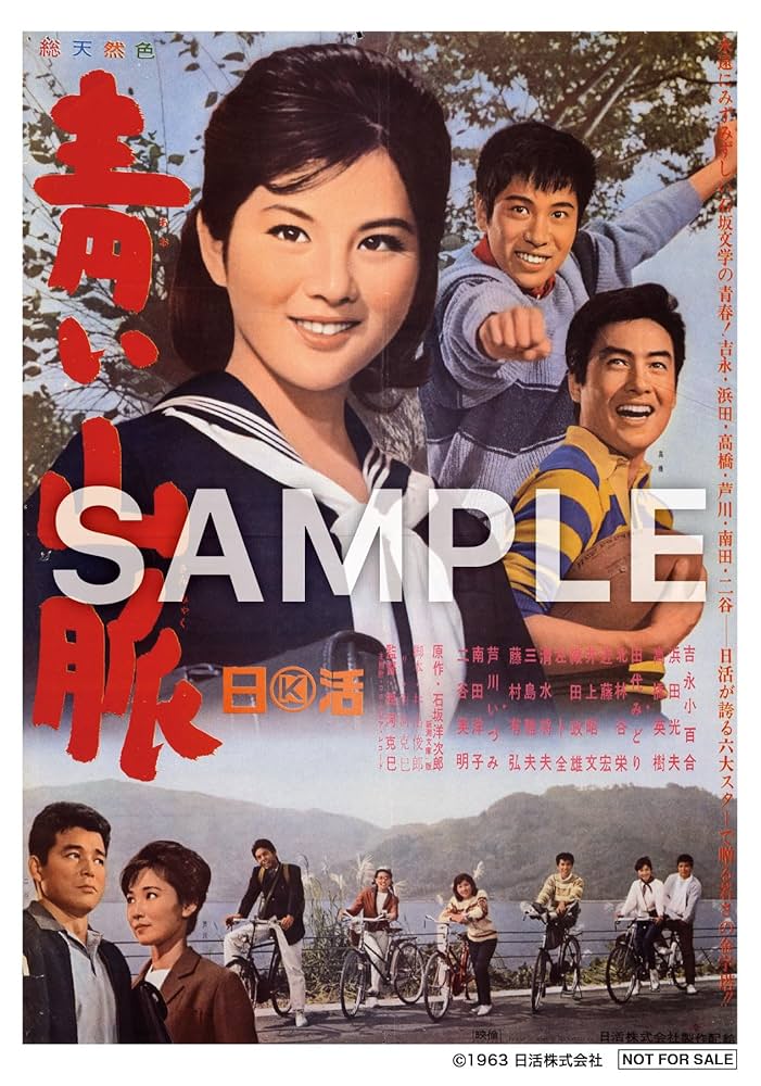 吉永小百合　17作品　ガラスの中の少女　つる　潮騒　青い山脈　など　レンタル落ち 吉永小百合 17作品 ガラスの中の少女 つる 潮騒 青い山脈 など