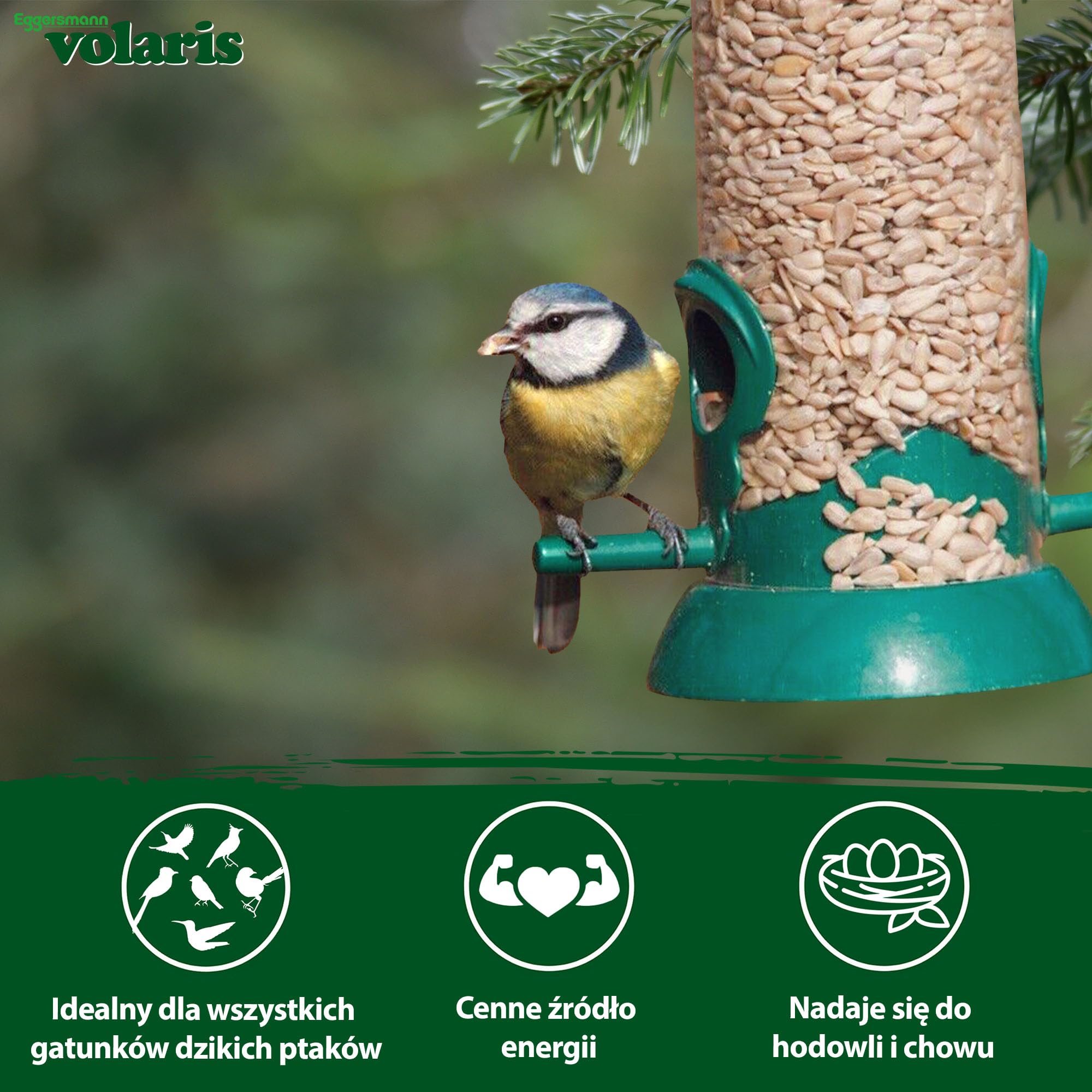 Eggersmann volaris Nasiona słonecznika łuskane 2,5 kg – wysokiej jakości karma dla dzikich ptaków – łuskane nasiona słonecznika bogate w tłuszcz i energię – karma dla dzikich ptaków bez skorupy, do