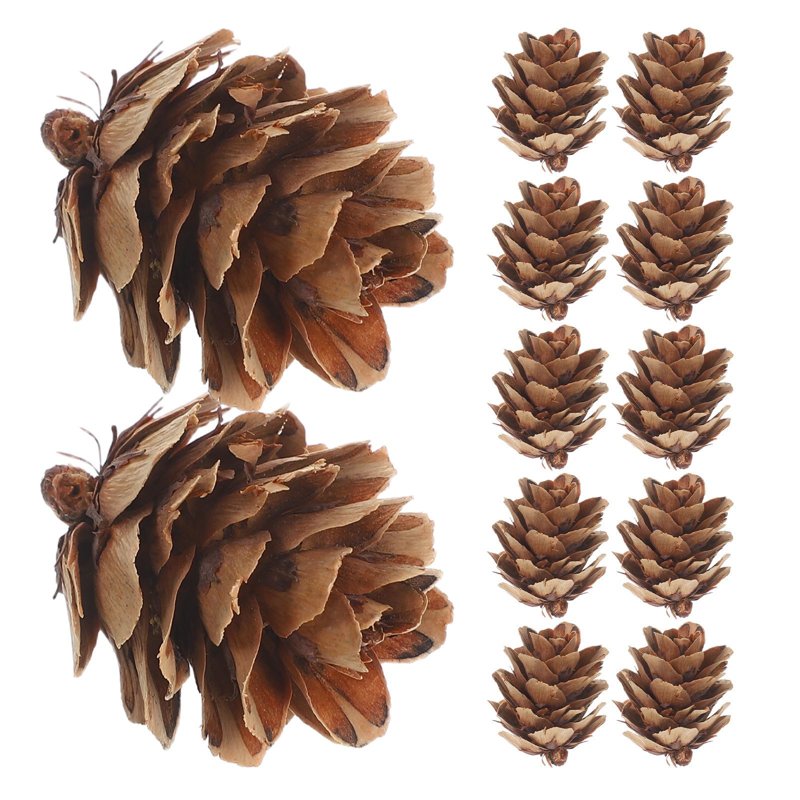FRCOLOR 1 Scatola Ornamenti Pigne Rustiche per Albero di Natale, Piccoli