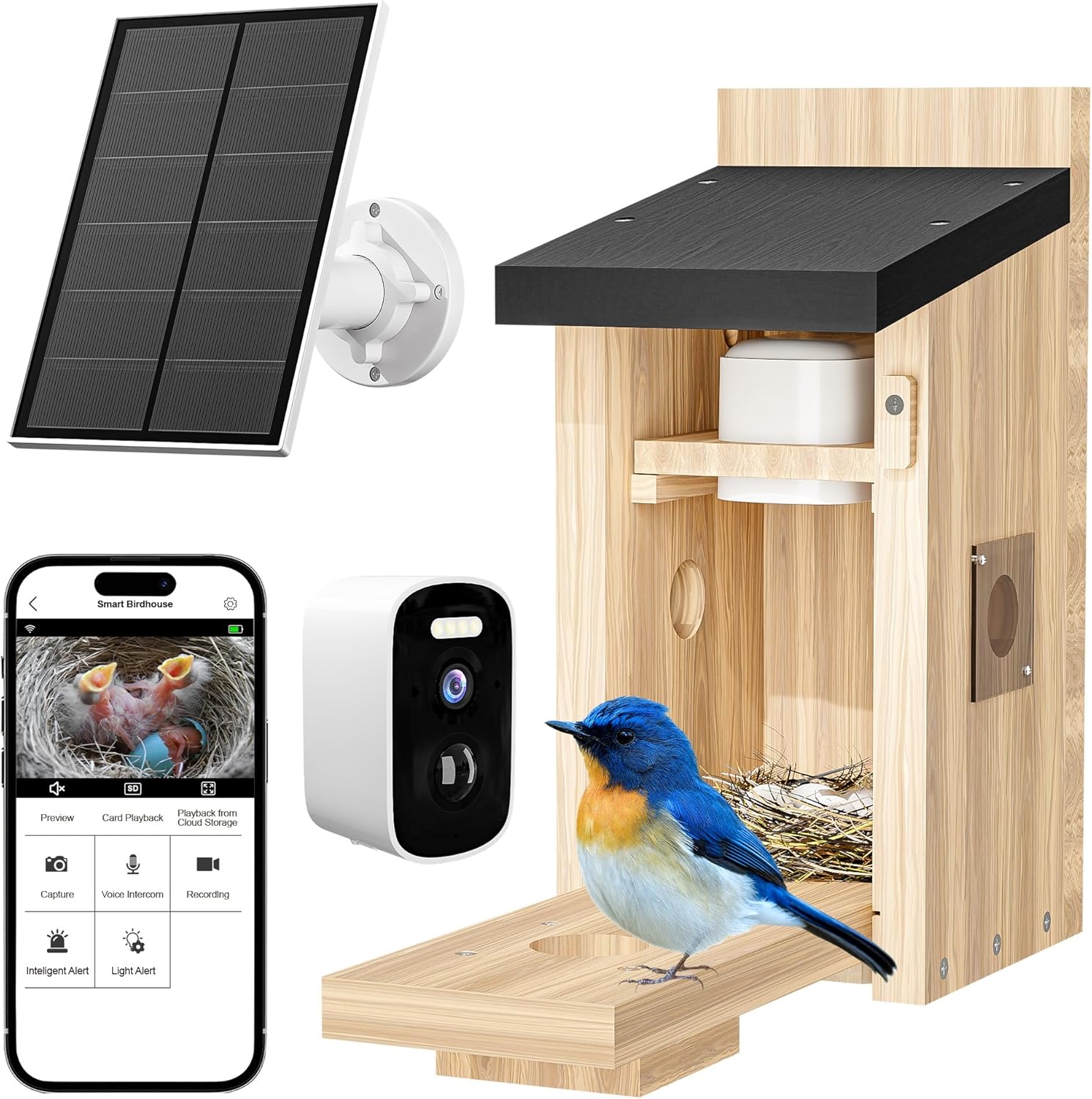 LPDISPLAY Birdhouse with Camera in It, 5MP HD 2.4G WiFi