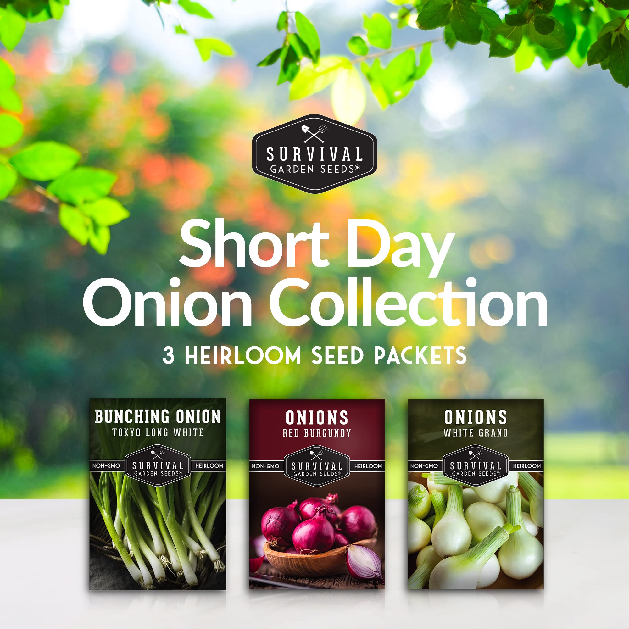 Amazon.com : Short Day Onion Seeds 3 Variety Collection – Red