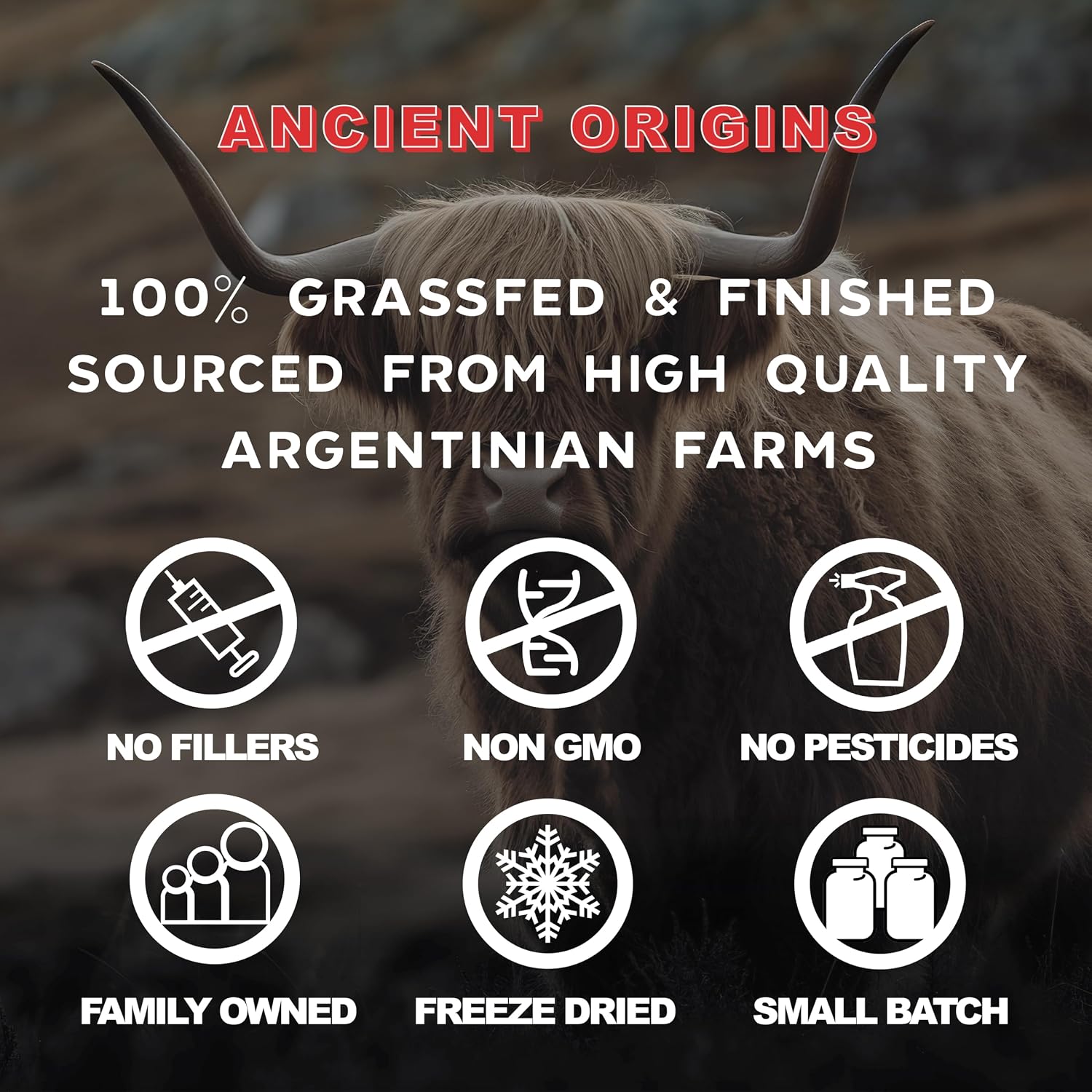 Grass Fed Bone Marrow Supplement, 3060mg, Skin, Oral Health, and Joint Support Supplement, Promotes Whole-Body Wellness, Non GMO Whole Bone Extract, 180 Capsules 6 Grass Fed Bone Marrow Supplement, 3060mg, Skin, Oral Health, and Joint Support Supplement, Promotes Whole-Body Wellness, Non GMO Whole Bone Extract, 180 Capsules - Image 4