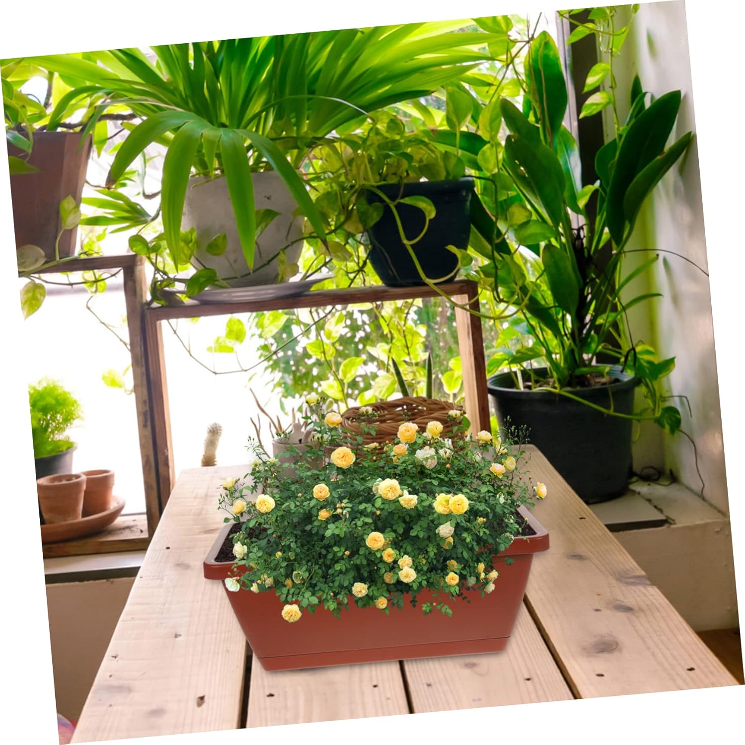 BESTOYARD 4pcs Box Rectangular Pot Outdoor planters Bonsai Flowerpot Planters Outdoor Balcony Garden Vegetable pots Indoor pots for Plants Office Bonsai Pot Plastic Rural Planter Box