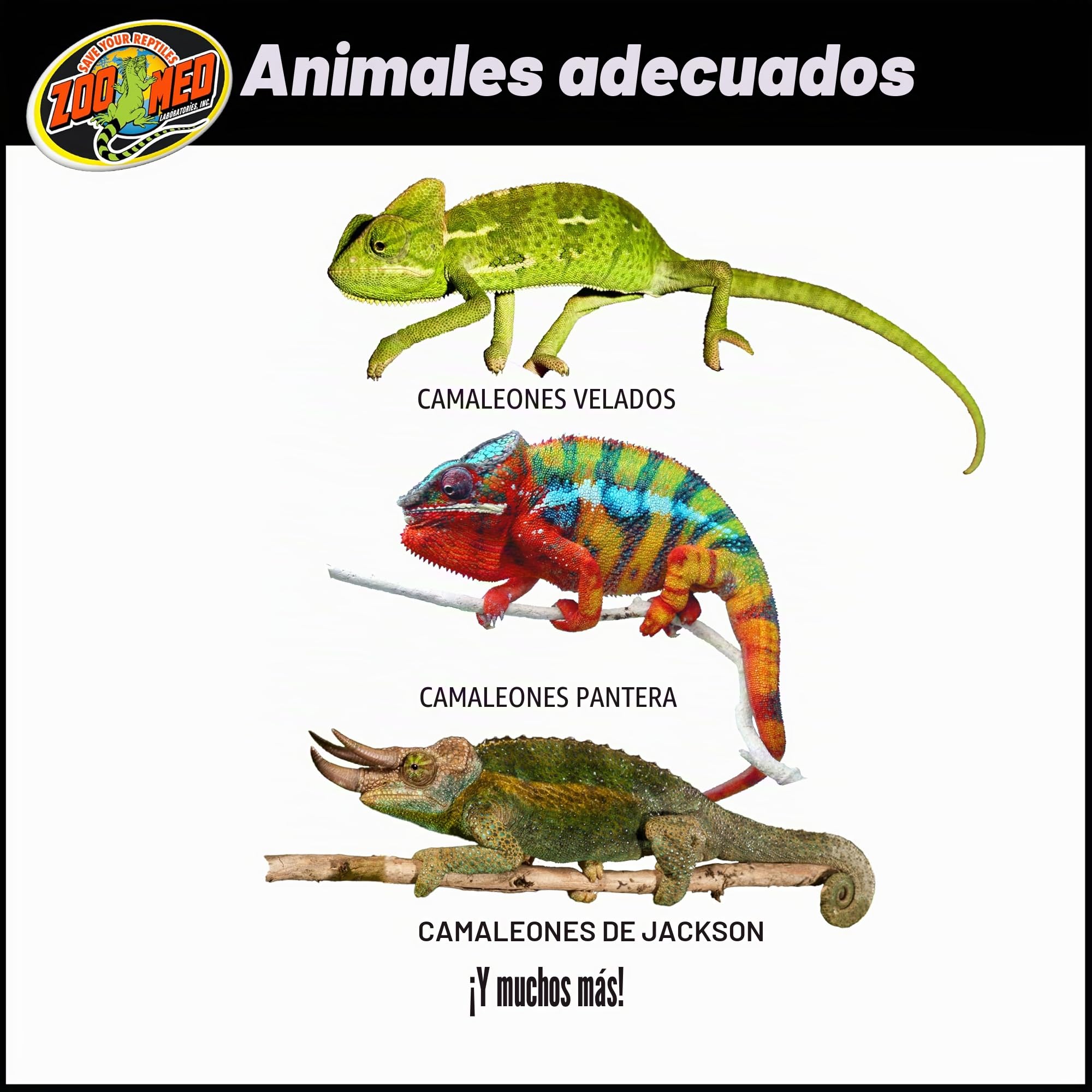 Zoo Med ReptiBreeze - Kit de camaleón