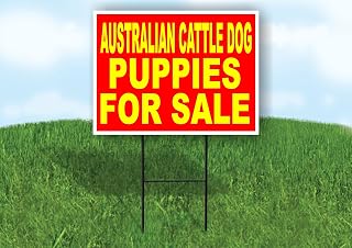 Australian Cattle Dog PUPPIES FOR SALE YELLOW RED BACKGROUND - Single Sided Yard Sign ROAD SIGN with Stand