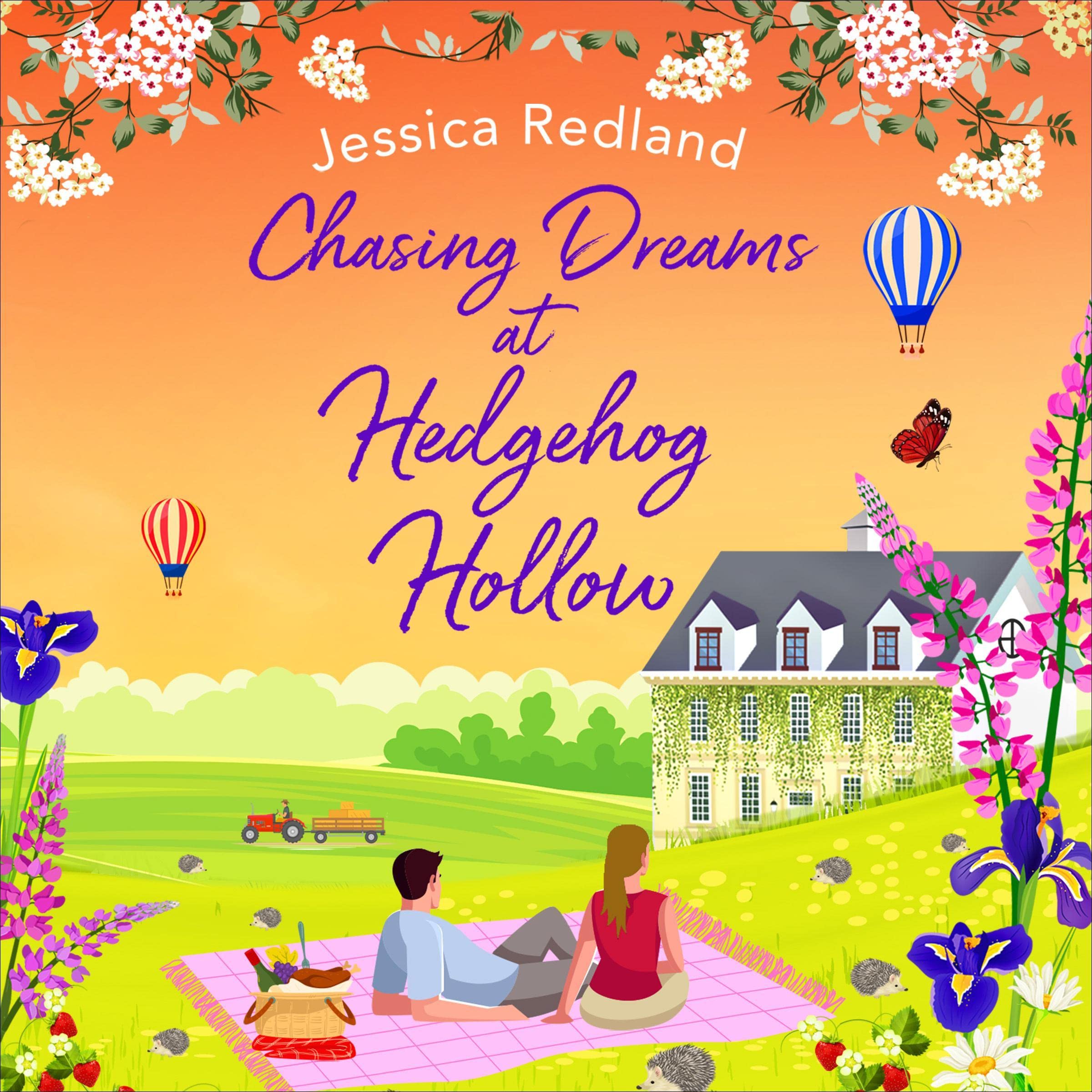 Cover art for Chasing Dreams at Hedgehog Hollow