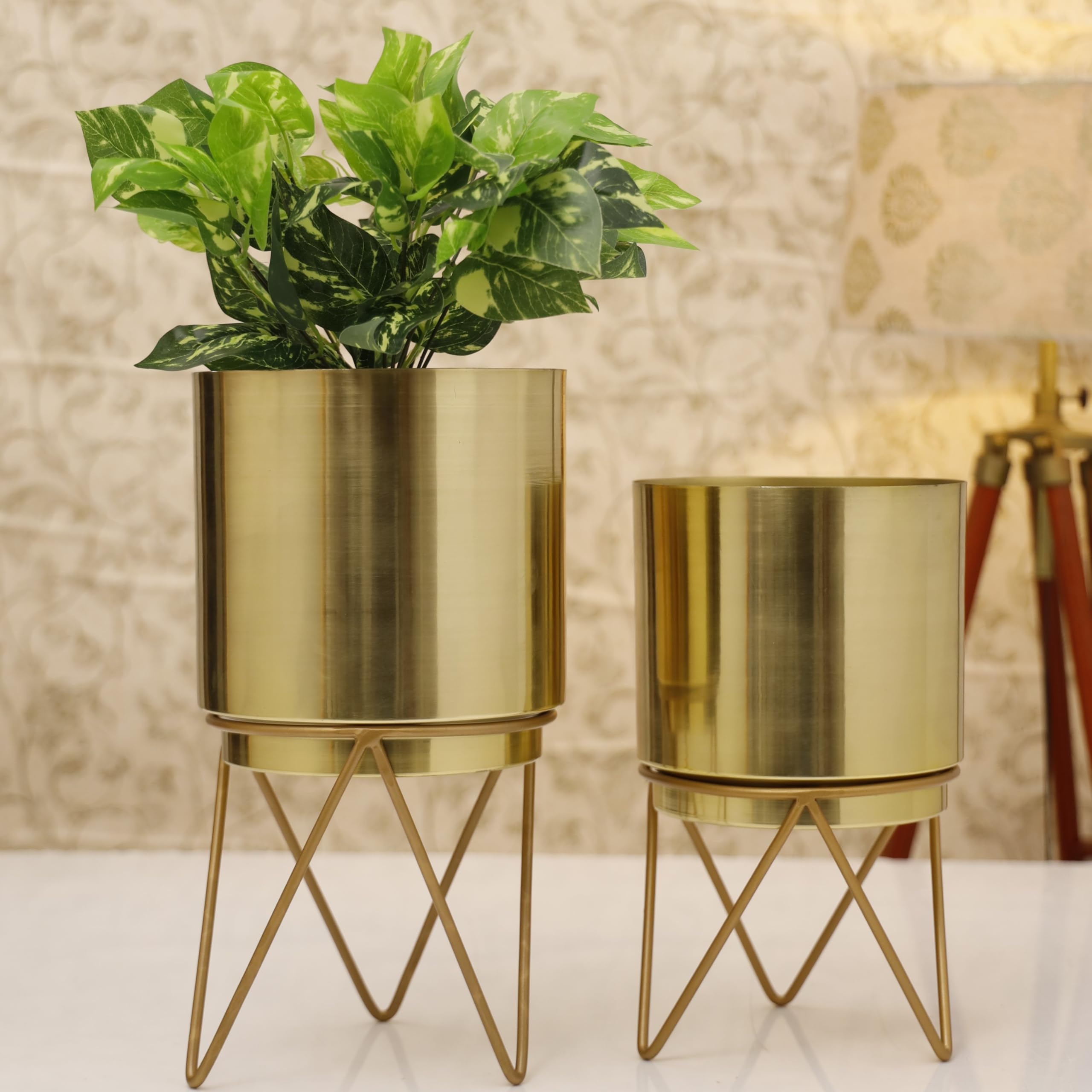 See full amazon price history chart for HomeShastra® Elle Gold Metal Planter Set with Stand | 13.5 Inch & 12 (Height) by 7.5 Inch & 7 Inch (Dia) | Planters for Living Room, Bedroom Dec (Pack of 2) HomeShastra® Elle Gold Metal Planter Set with Stand | 13.5 Inch & 12 (Height) by 7.5 Inch & 7 Inch (Dia) | Planters for Living Room, Bedroom Dec (Pack of 2) (B0CTR2QBLR) Amazon Price History, Amazon Price Tracker