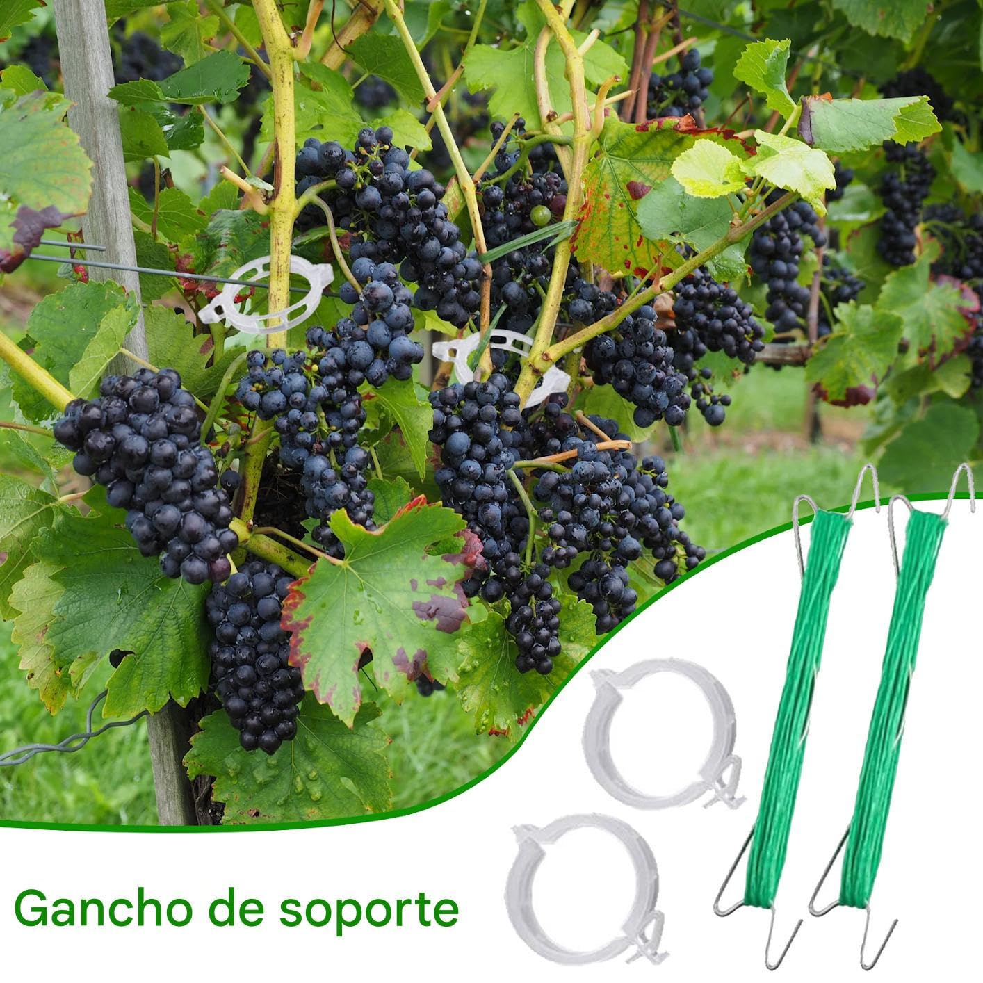 Gancio Da Pomodori con Corda e Clip Resistenti | 40 Pezzi Ganci da per Piante Rampicanti Per Cetrioli, Frutta, Colture, Interno Ed Esterno, Giardino, Fattoria, Patio, Serra