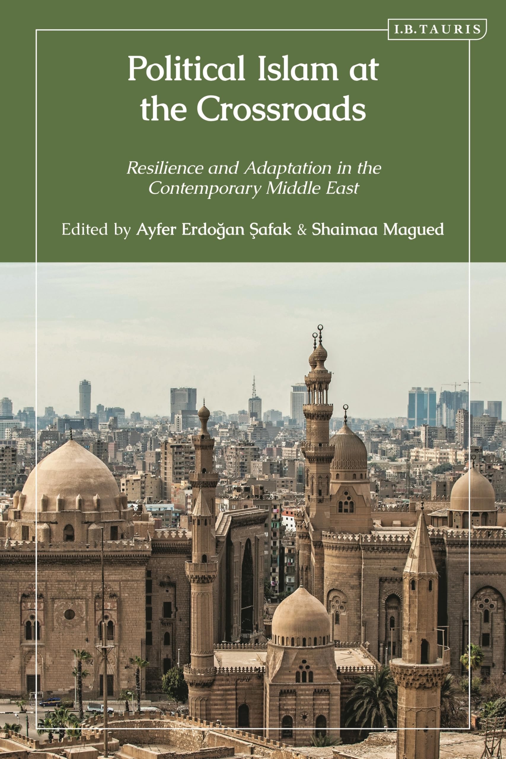 Buy Political Islam at the Crossroads: Resilience and Adaptation in the Contemporary Middle East — BookShops.in