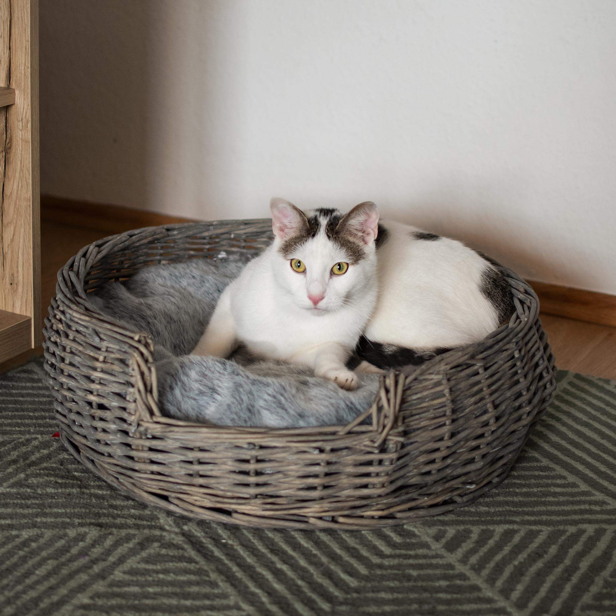RM E-Commerce, cuccia per cani e gatti, in vimini con cuscino grigio, diametro 55 cm, per cani e gatti