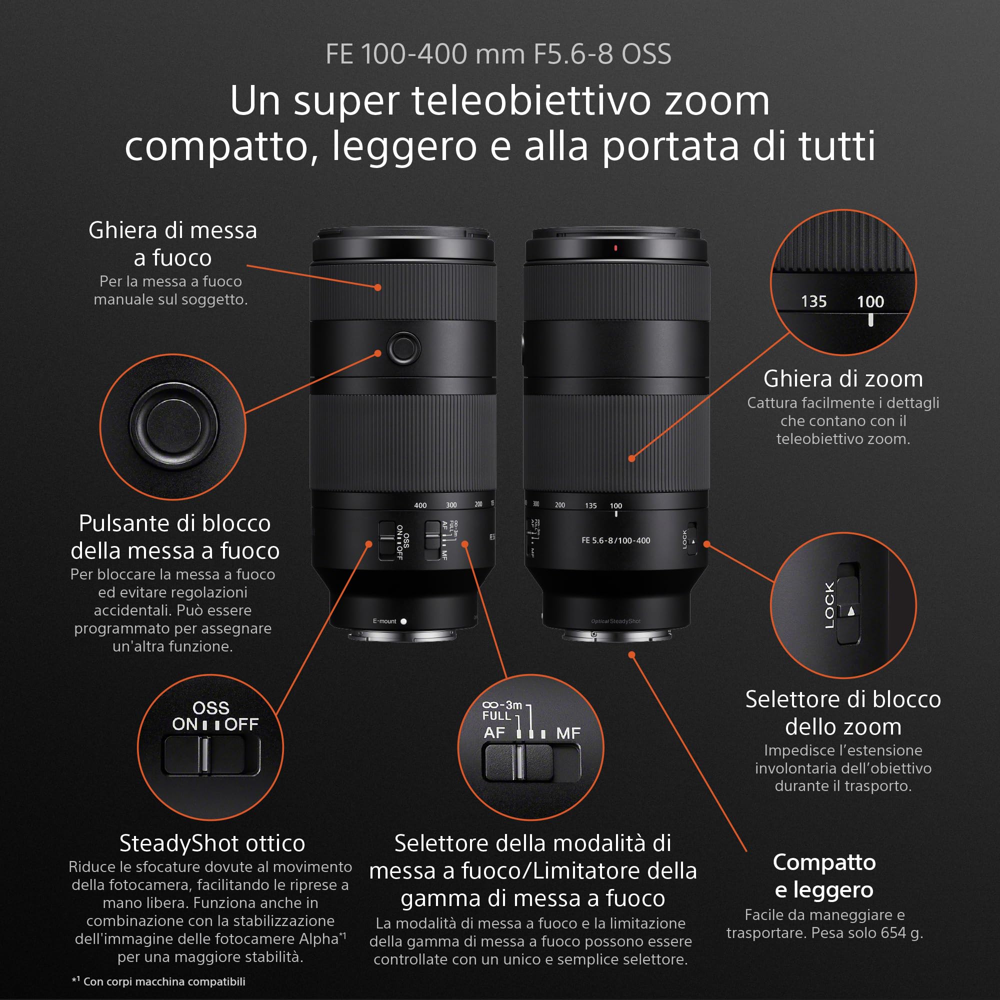 Sony FE 100-400mm F5-6.3OSS Obiettivo Zoom Teleobiettivo Full-Frame | Obiettivo full-frame per bird watching e la fotografia di animali, natura, wildlife, sport, viaggio, città e aviazione