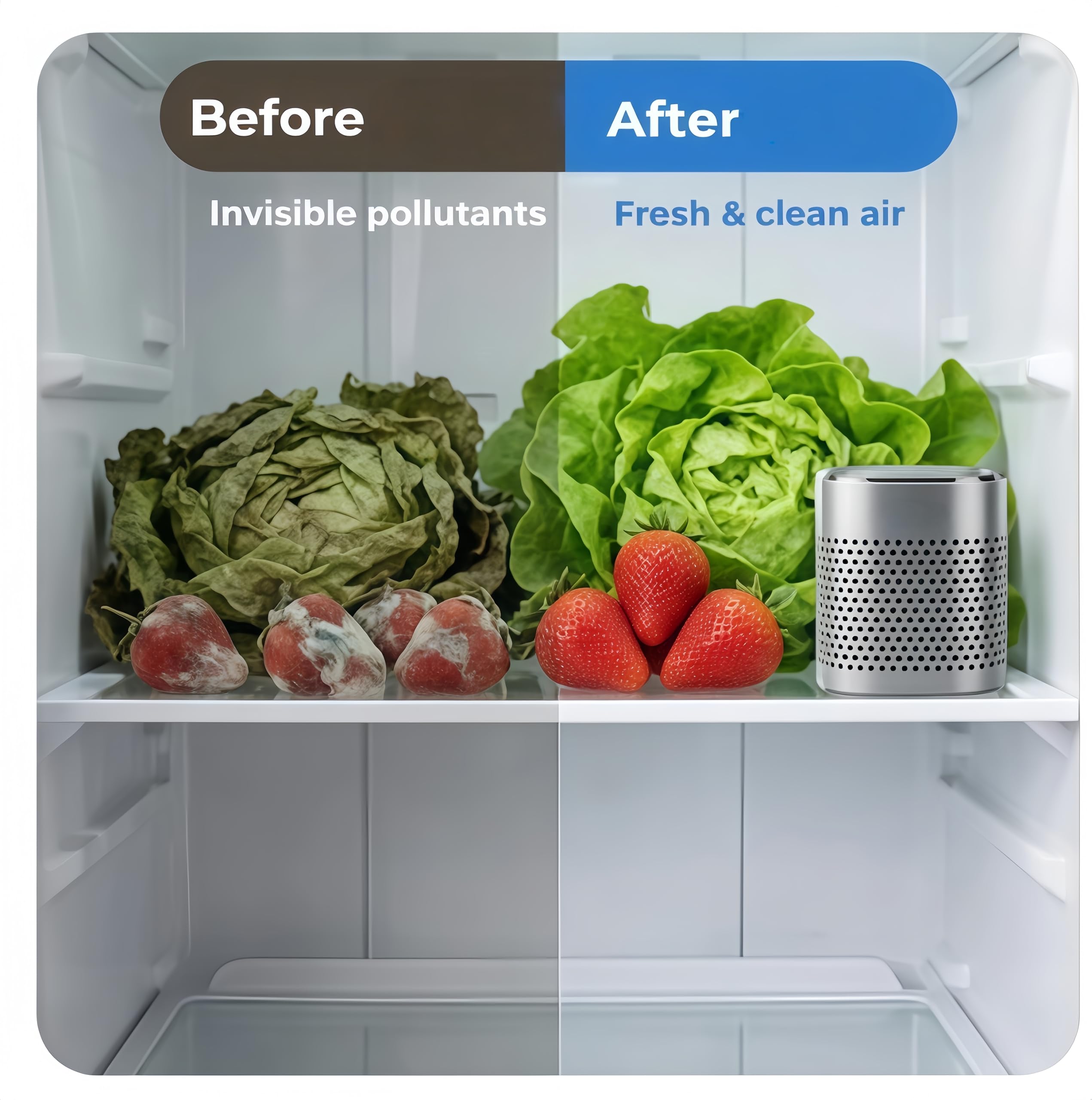 Noova Fridge Purifier, Edelstahl rostfrei, Kühlschrankfrisch | Natürlicher Luftreiniger gegen Gerüche | Kompakt, Nachhaltig & Wiederverwendbar, übertrifft Backpulver und Aktivkohle