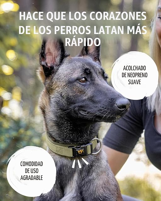 Foto 2 de 6 de Rudelkönig Collar Perro Bella - Ajustable, Neopreno Acolchado, Reflectante