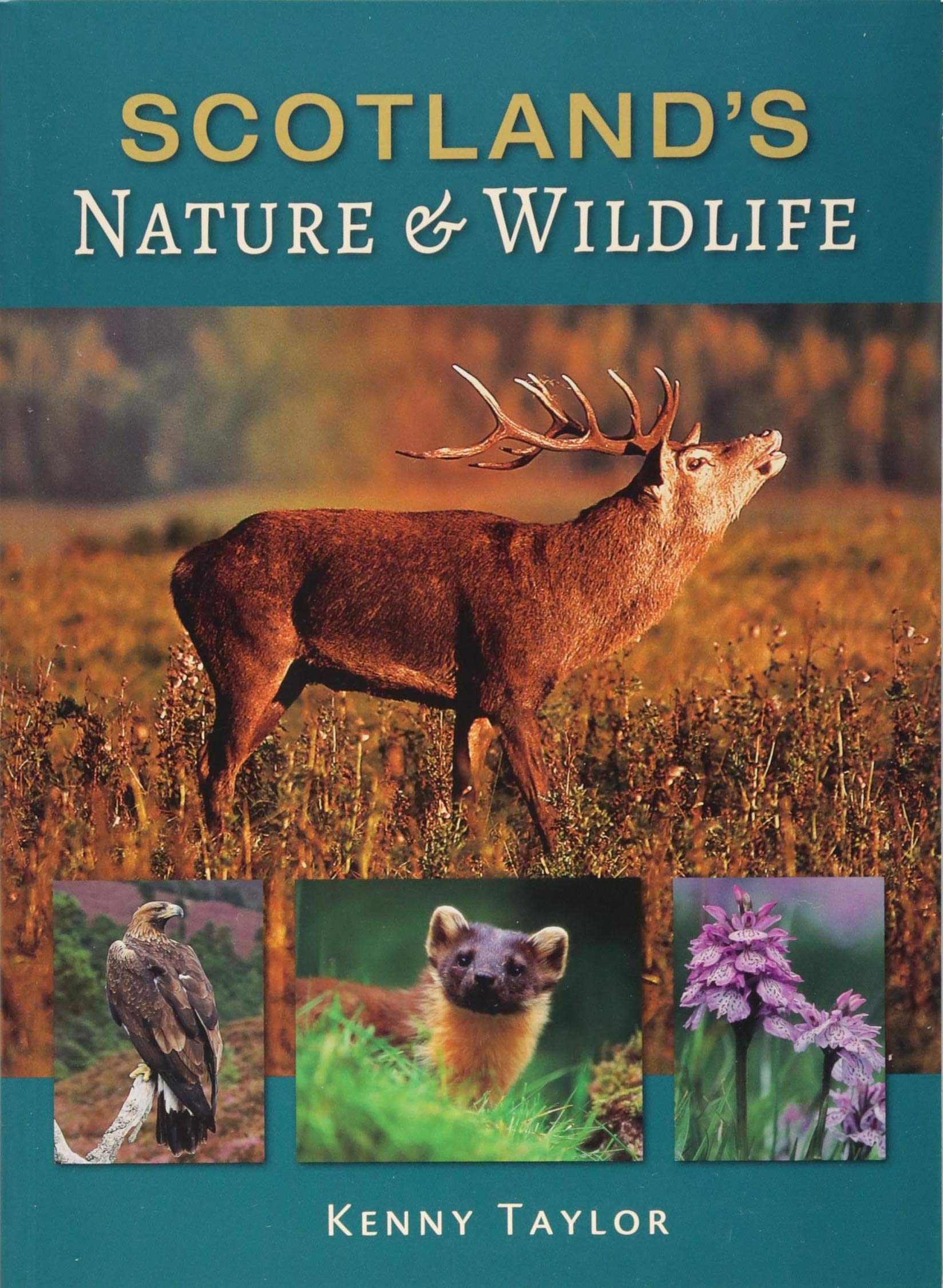 Scotland's Nature & Wildlife By Kenny Taylor
