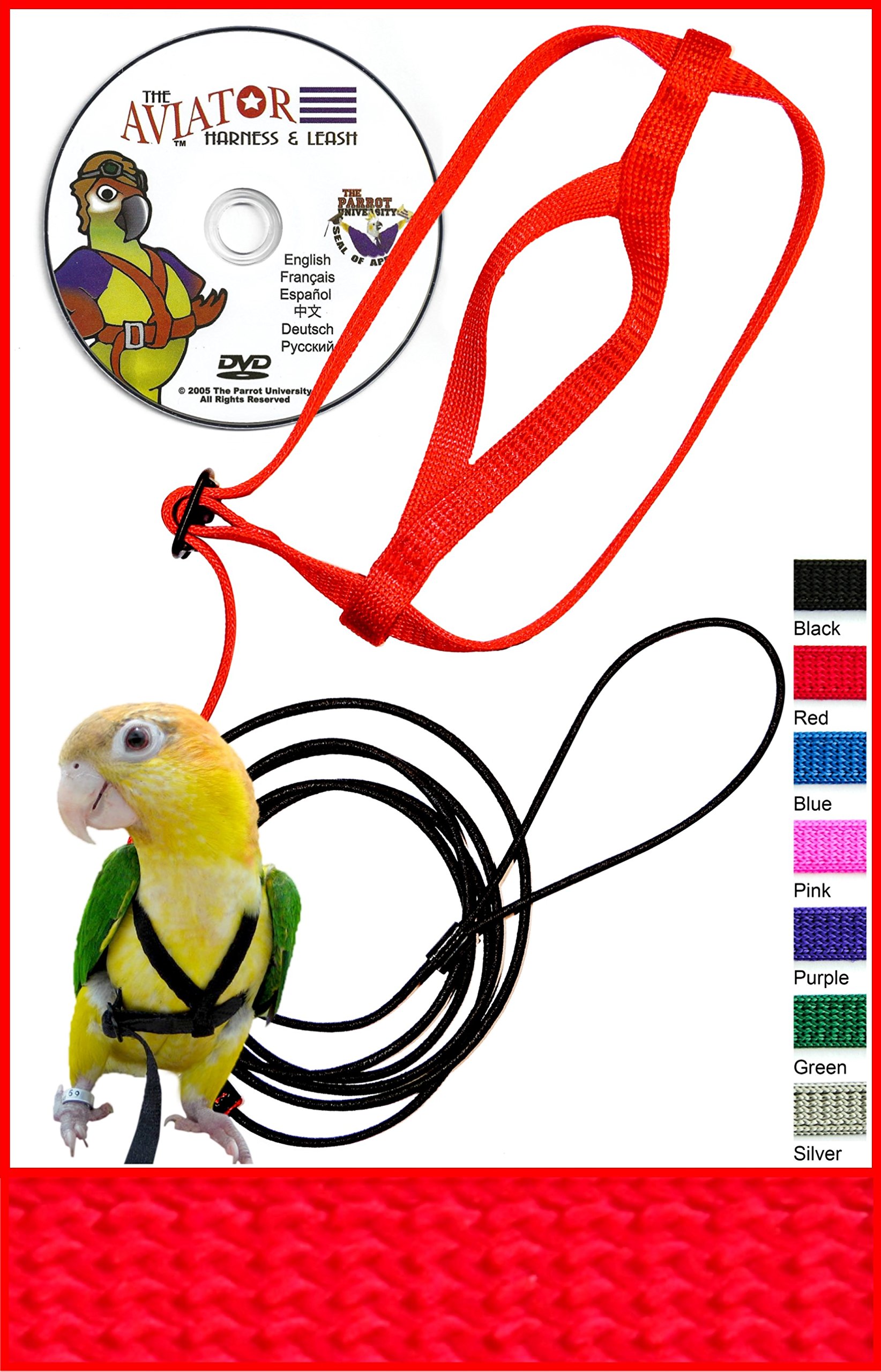 Amazon.co.jp: AVIATOR Pet Bird Harness : Pet Supplies