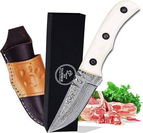 Cuchillo de caza de acero de Damasco forjado a mano de 7 pulgadas, mango de hueso de camello majestuoso, hoja fija inflexible de 3 pulgadas,