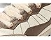 AllSaints Nevis Sneakers - Right View