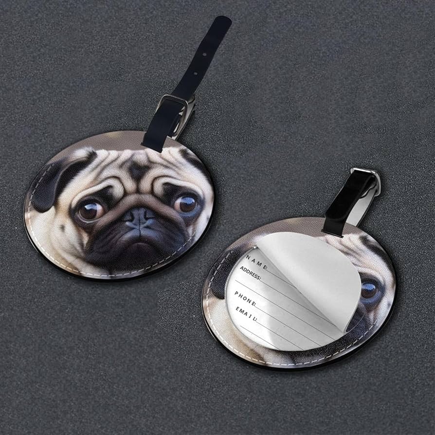 ★ pug★ IMG_2591copy_2048x.jpg?v=