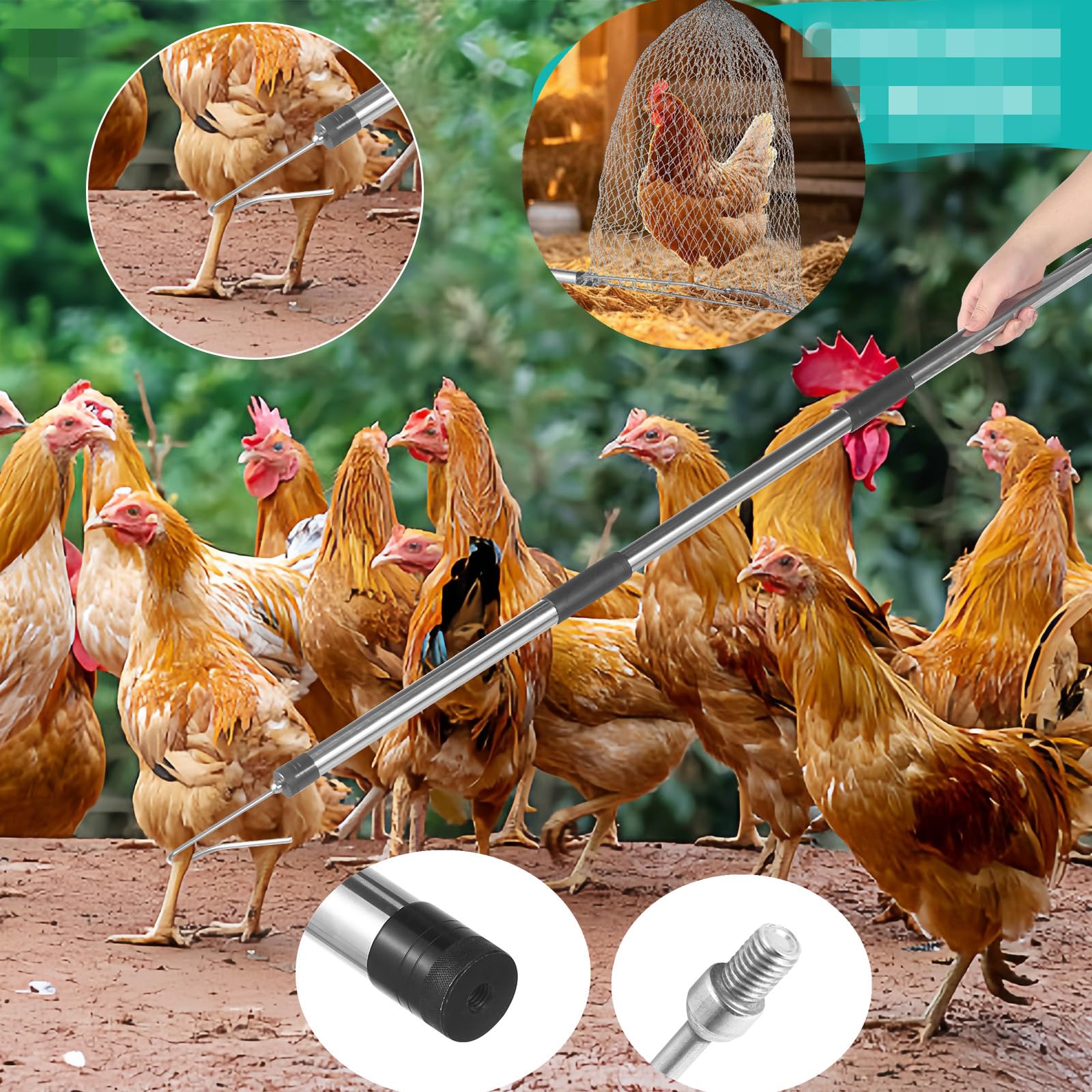 Filet de ramassage de poulet, rallonge réglable de 188 cm, le filet pour animaux est fabriqué en acier inoxydable, adapté pour attraper les petits canards, oies, oiseaux, poissons, etc. (38,9 x 58,9