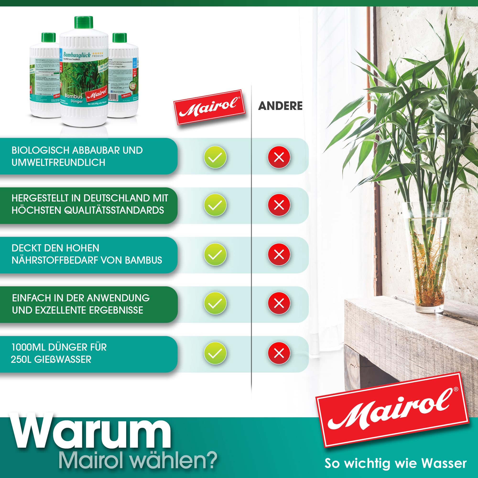 Mairol Bambusdnger flssig, Bambus Dnger Bambuspflanzen Flssigdnger   Bis zu 250 Liter Giewasser (1.000ml) - Nhrstoff-Booster krftiges  Wachstum und grne Bltter, Langzeit Dnger : Amazon.de: Garten