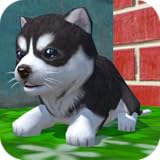 Cute Pocket Puppy 3D