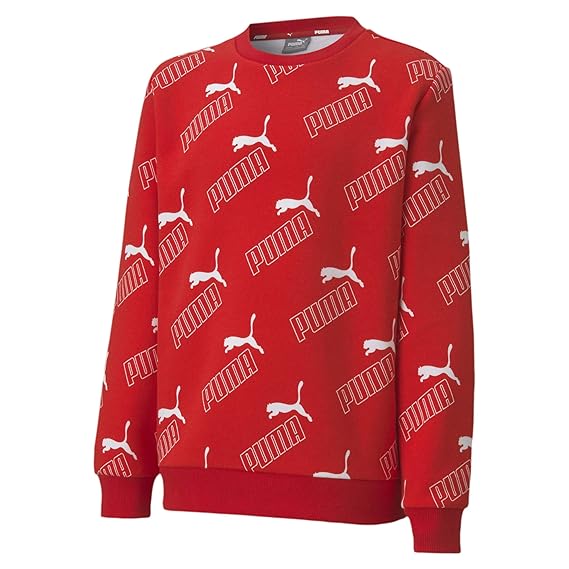 Puma Boys Sweatshirt
