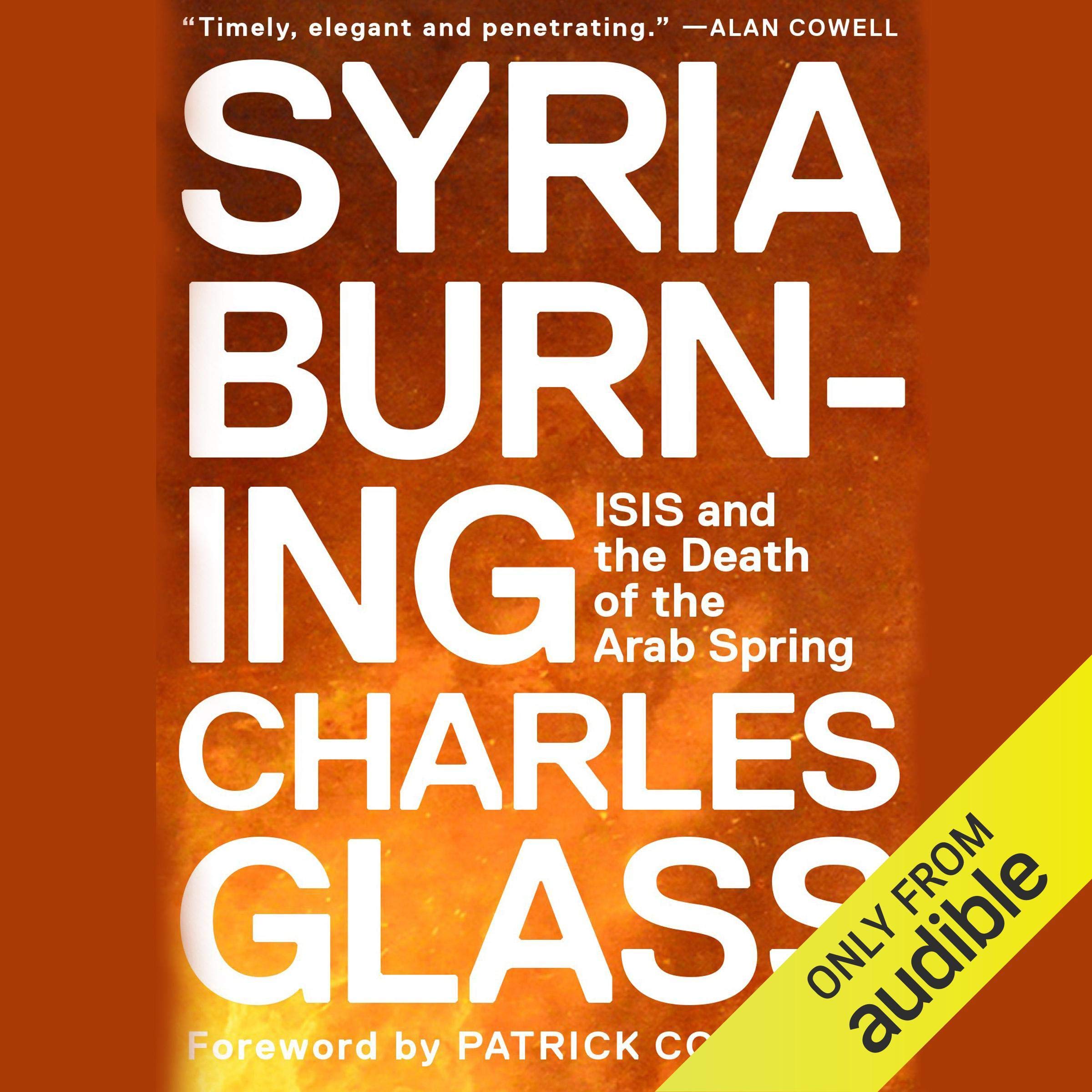 Cover art for Syria Burning