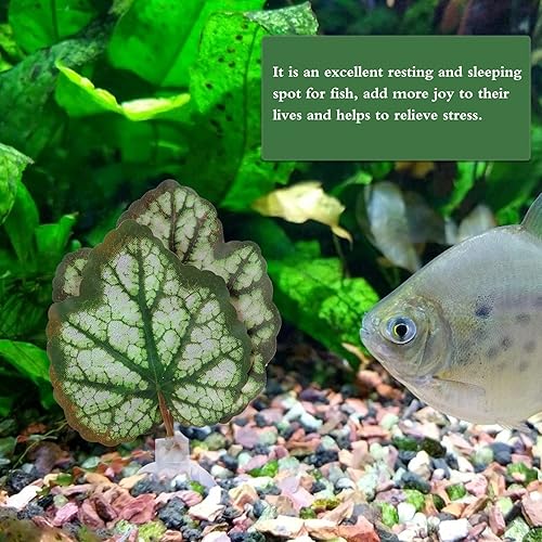 Miniatura 7 de iplusmile Betta - 2 almohadillas para hamacas de hojas de acuario, accesorios para plantas de pecera, accesorios para jugar escondites y