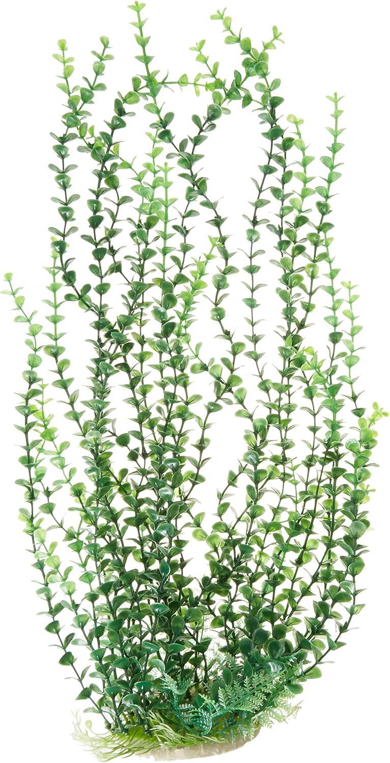 Aquatop ATP Plnt Elodea Gn 20in