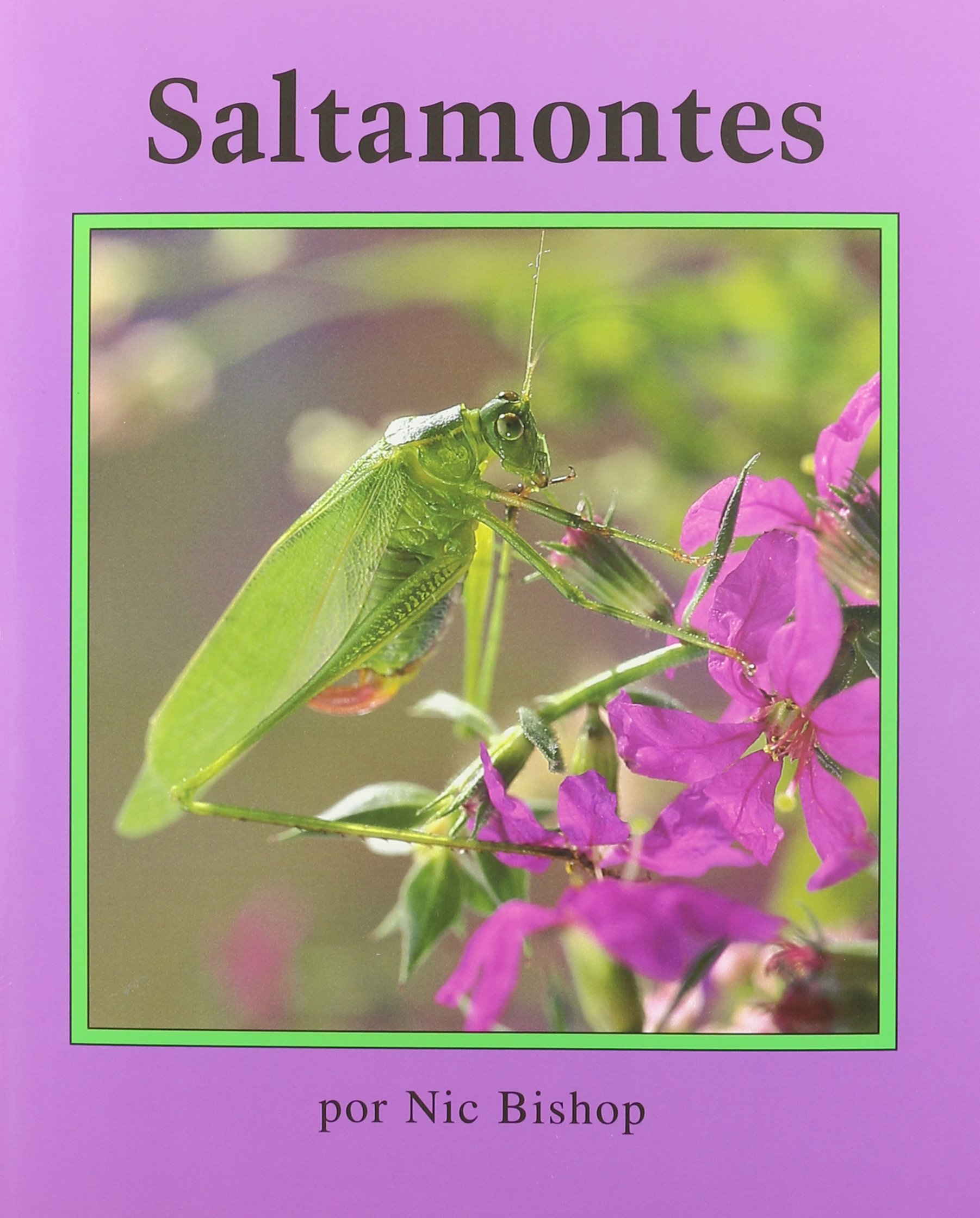 Saltamontes (Books for Young Learners) (Books for Young Learners Spanish) (Spanish Edition)