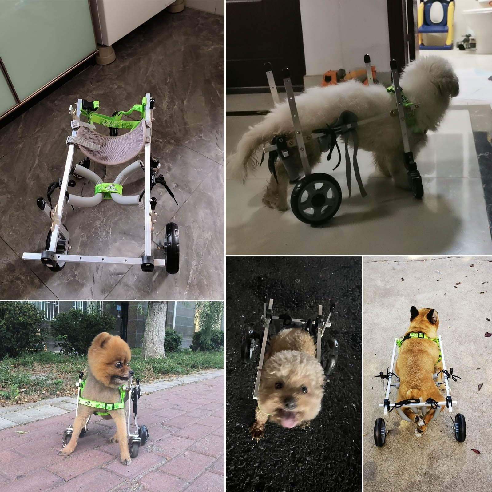 Wózek dla zwierząt, wózek dla małych psów i kotów, kończyny tylne, regulowany chodzik dla niepełnosprawnych z oponami terenowymi, chodzenie