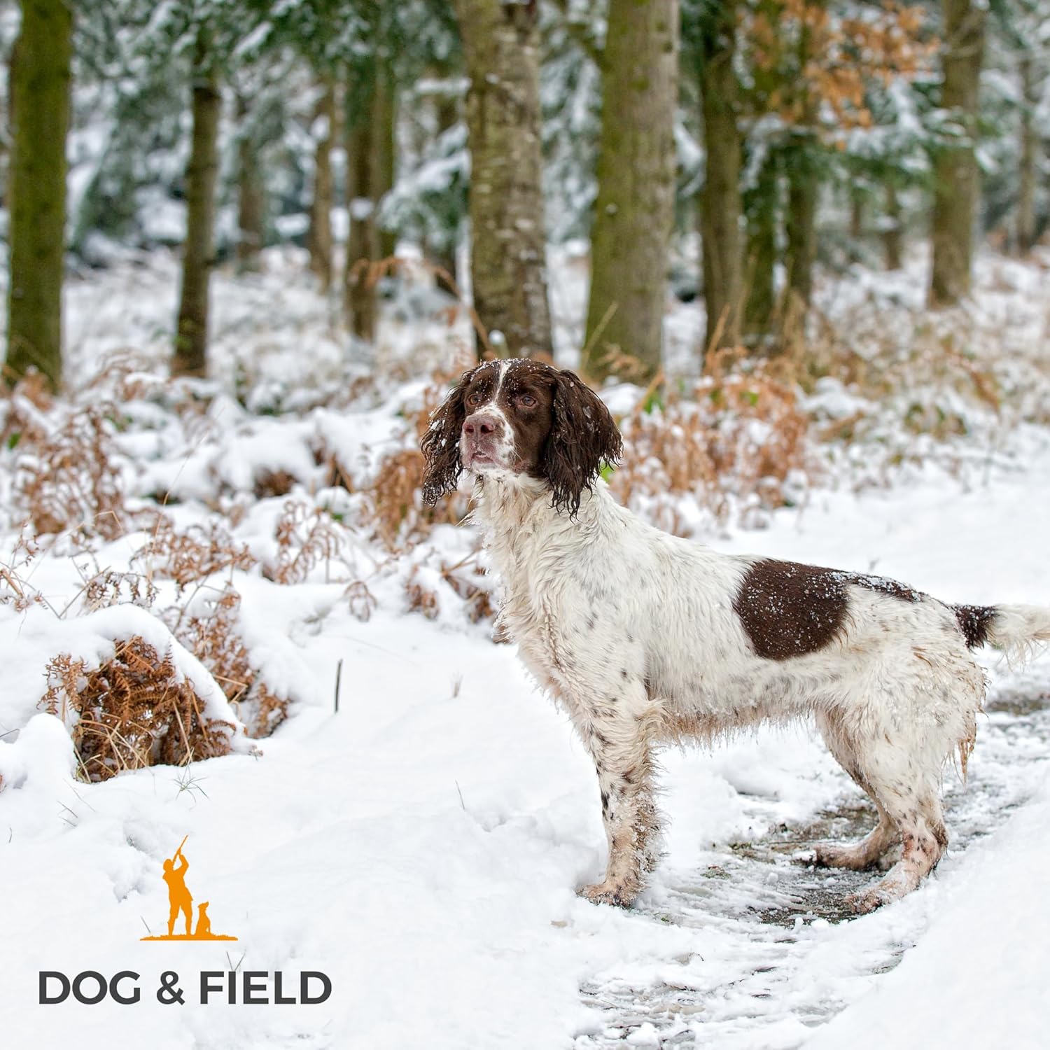 Dog & Field Trial Pro Slip Lead, Red