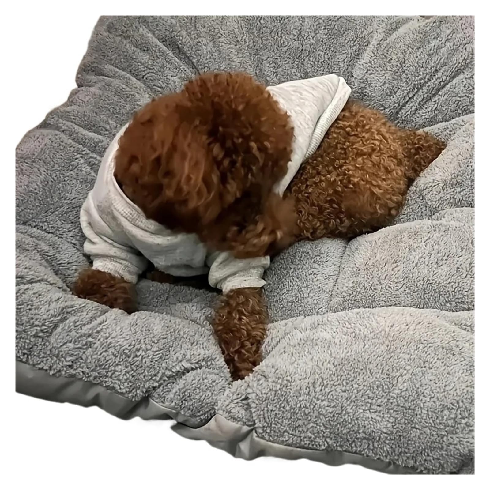 Legowisko dla zwierząt Akcesoria dla szczeniąt Legowiska dla psów Rozkładana sofa dla psa Duże flanelowe ubrania Akcesoria dla zwierząt Sklep dla zwierząt Wszystko dla małych szczeniąt(XL 120x60cm)