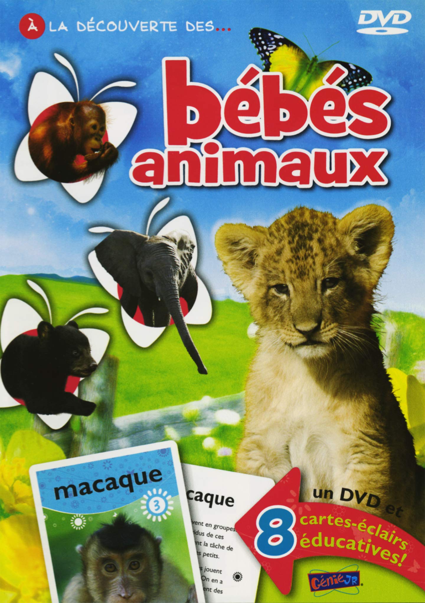 Bebes Animaux [DVD]