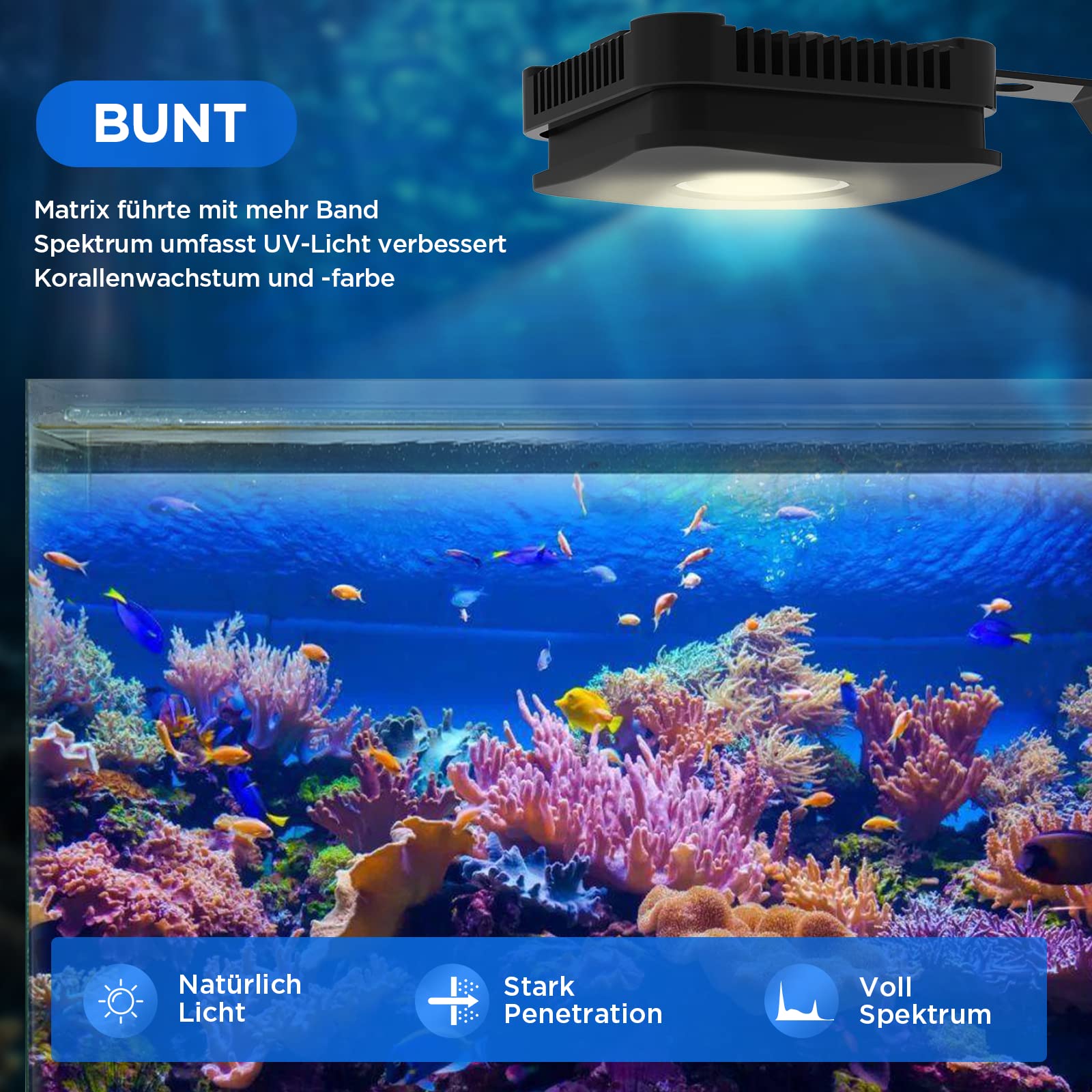 Lominie 30-W-Aquarienbeleuchtung, Vollspektrum Aquarium Lampe,Salzwasser Aquarium Licht mit Fernbedienung, für Korallen, Riffe, Planted Nano Aquarium Tank (Pxie30 Salzwasser)