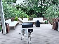 Review Image by Kim Overholt Lloyd Kim Overholt Lloyd