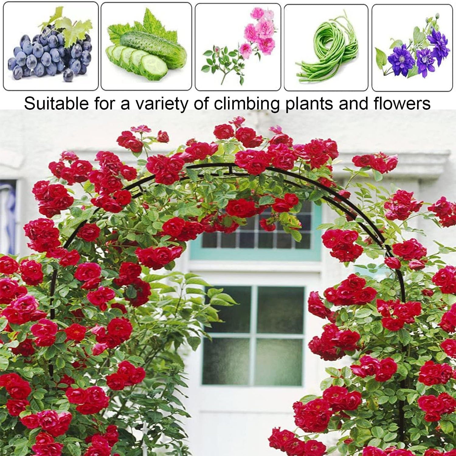 Arche de Jardin pour Plantes grimpantes Arceau à Rosiers métalli pergola Arche de Mariage pour Intérieur Extérieur Décoration de Fête de Mariag(White,300cm)