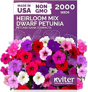 KVITER 2,000 Mix Dwarf Petunia Seeds for Planting Flowers (Nana Compacta...