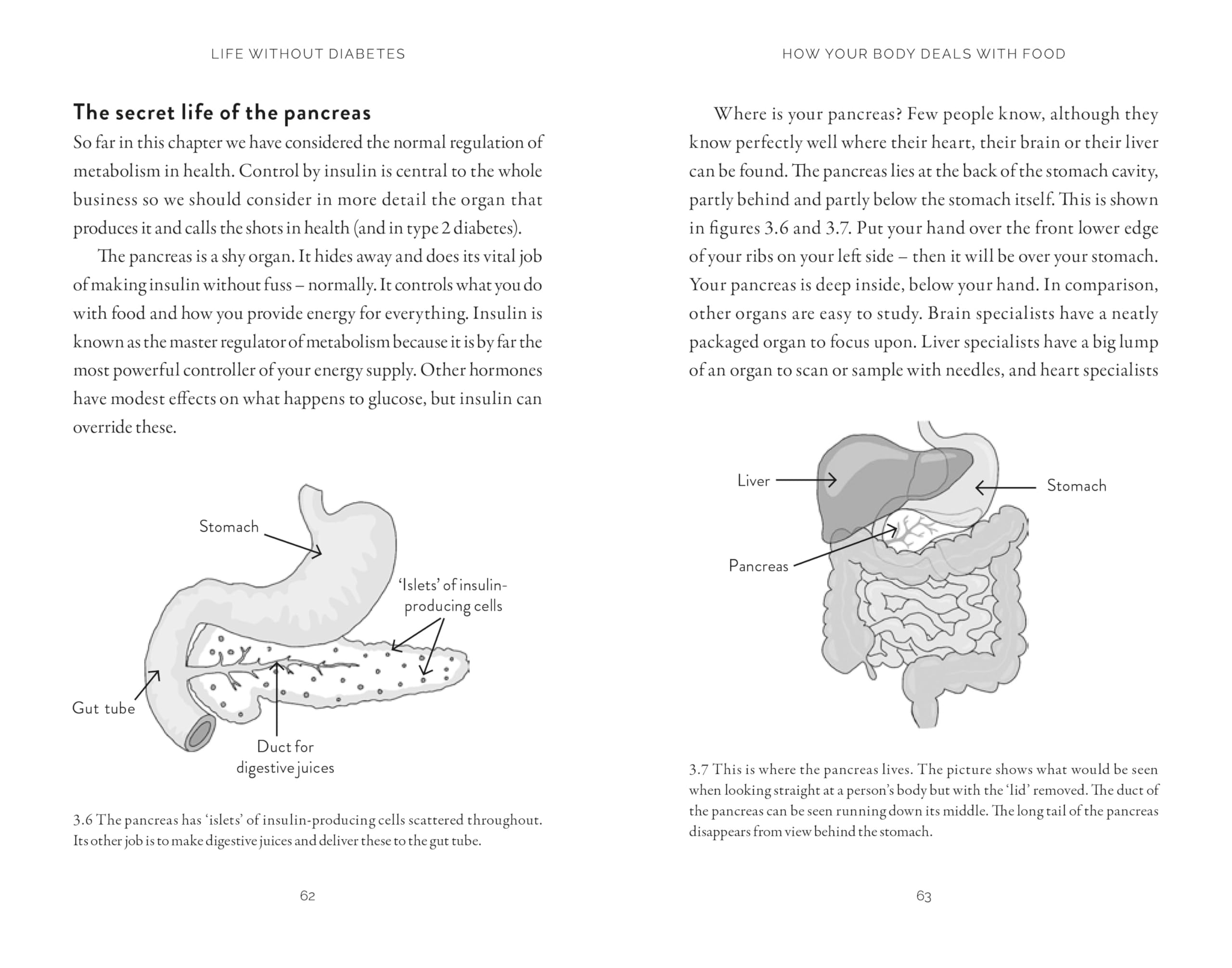 Life Without Diabetes: The definitive guide to understanding and reversing type 2 diabetes