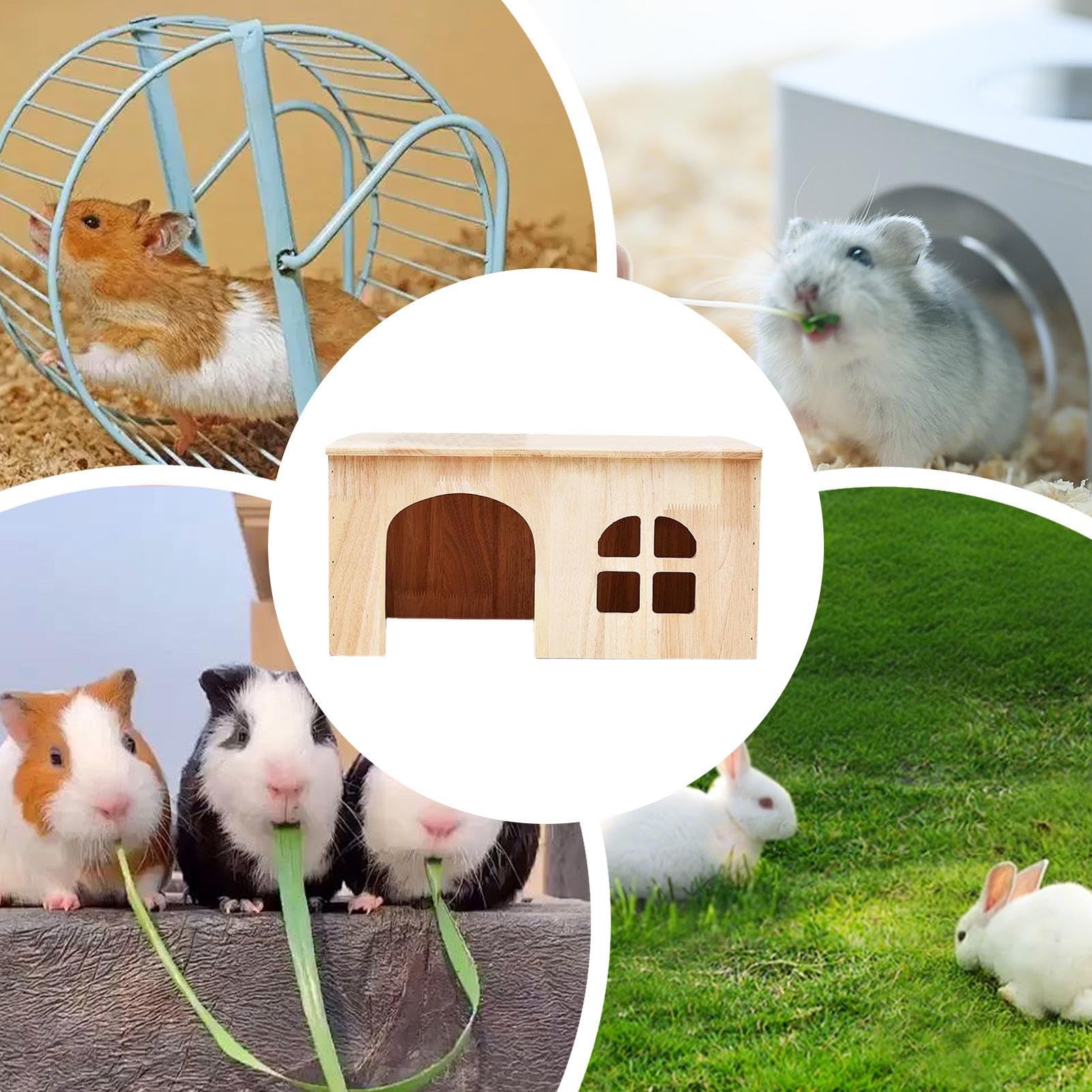 Casa Per Criceti Gabbia per Animali in Legno con Finestra e Porta | Tana Ventilata per Coniglietti Per Riccio Furetto Criceto Gerbillo Cincillà Riposo E Sonno