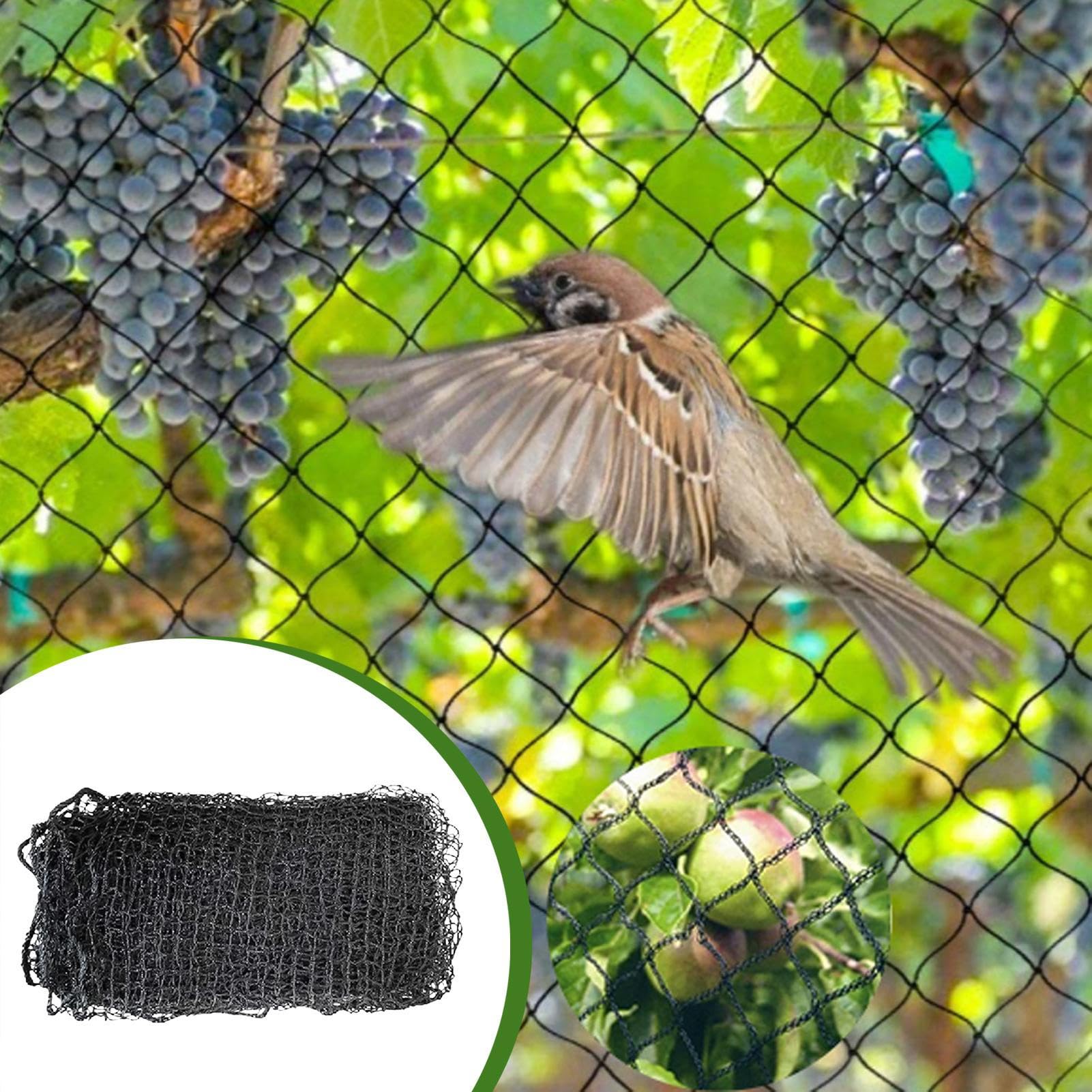 Reu - Red de jardín para proteger árboles frutales y arbustos de bayas, ideal para deportes al aire libre, red de malla para proteger árboles frutales
