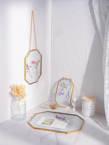 Miniatura 3 de REDHUGO Marcos de flores prensadas, marcos flotantes de vidrio para exhibir imágenes de plantas secas, marco de fotos de latón colgante con cadena,