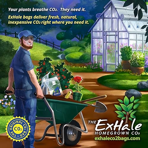 Miniatura 4 de ExHale Homegrown CO2 365 - Bolsa autoactivada para salas de cultivo y tiendas de campaña, ideal para salas de cultivo en interiores, CO2 para