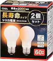 【値下中】Panasonic 長寿命シリカ電球 40形 E26 22個セット 長寿命白熱電球 E26 40W形 シリカ 2個セット LB-DL5638W-2PN 06