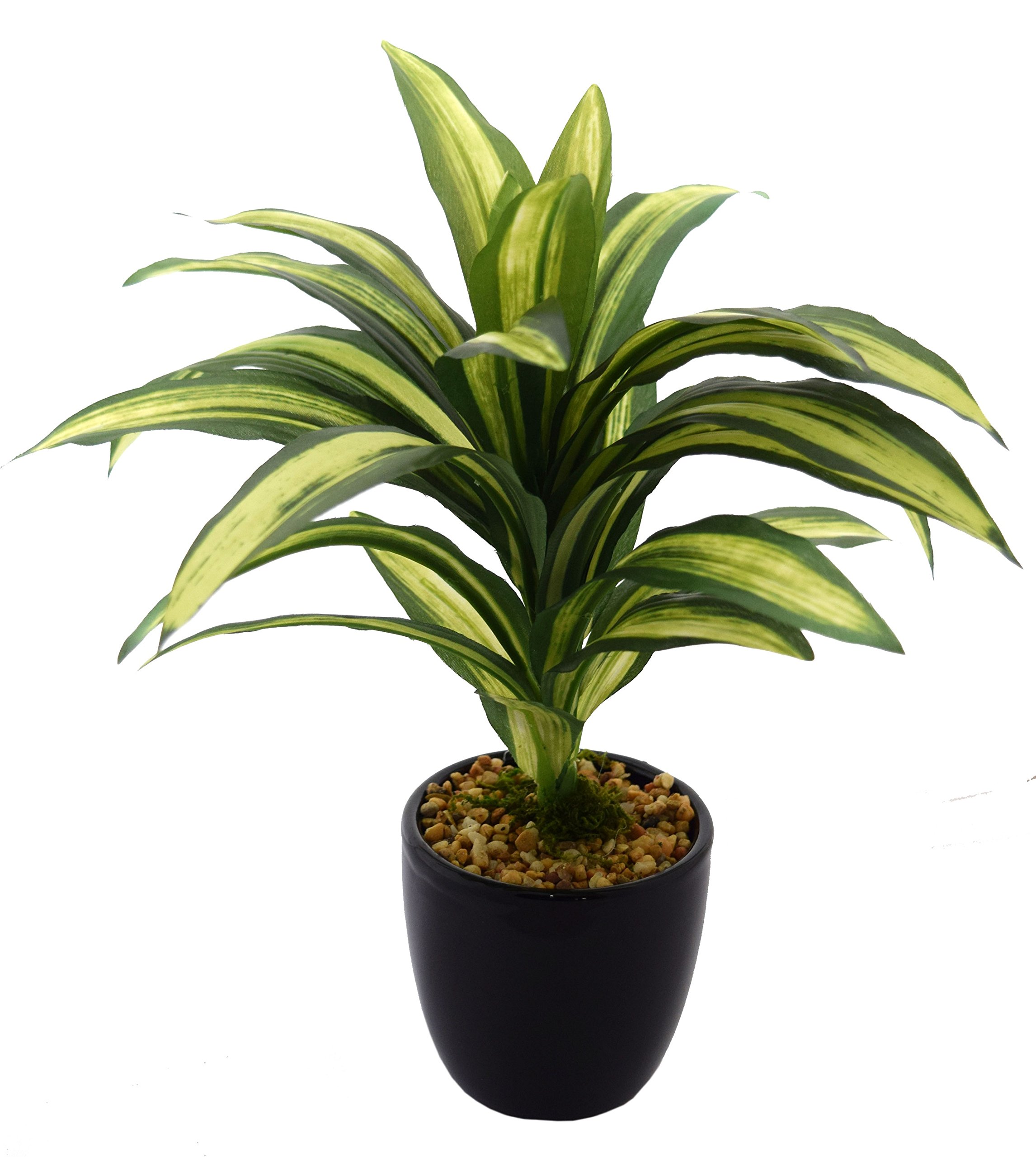 Fourwalls Artificial Natural Looking Dracaena Bonsai Plant in A Ceramic Vase for Home Office Decor (24 cm Tall, 25 Leaves, Green) (B00ENFQY26) Amazon Price History, Amazon Price Tracker