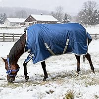 Vista 6 de Manta de caballo de participación premium de invierno 1200D, manta impermeable de peso medio