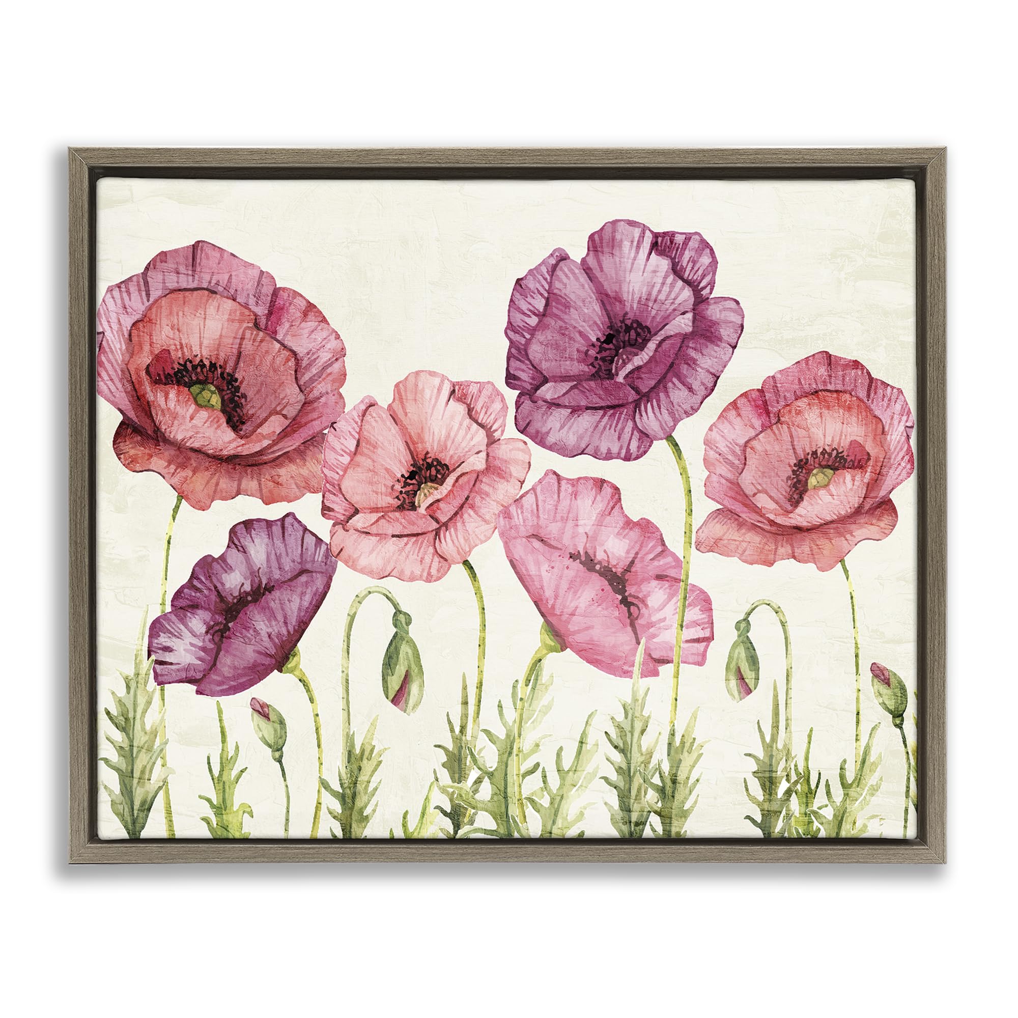 Stupell Industries Vintage Poppy Blooms for Dining Room, Soft Pastel Botanical Decor, 16 x 20 Inch Gallery Wrapped Canvas Wall Art in Floater Frame, by Kim Allen, Made in USA Gift