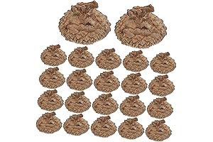 Natural Acorns Top Bulk Real Rustic Acorns Caps for Craft